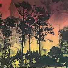 wildfire.jpg