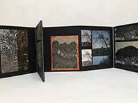 whispering trees3.jpg